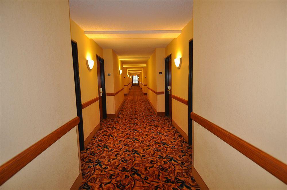 Comfort Inn & Suites New Orleans Airport North ケナー インテリア 写真